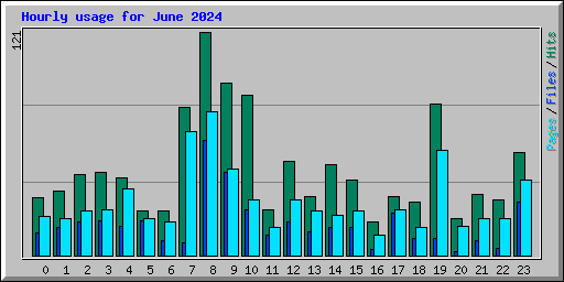 Hourly usage for June 2024