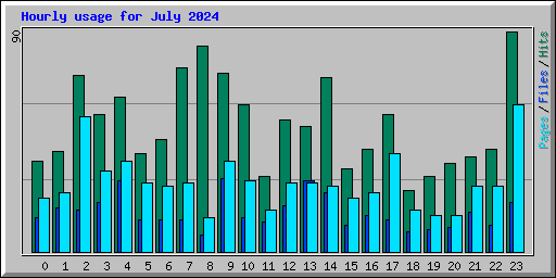 Hourly usage for July 2024