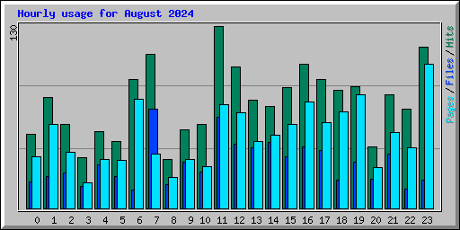 Hourly usage for August 2024